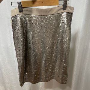 Silver Sequin Skirt